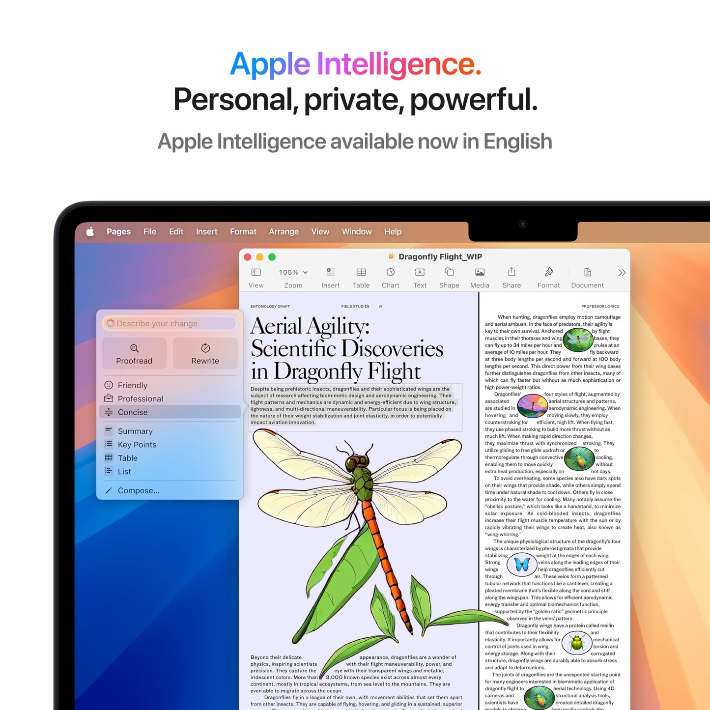 Apple 2025 MacBook Air (13-inch, Apple M4 chip with 10-core CPU and 10-core GPU, 16GB Unified Memory, 512GB) - Midnight